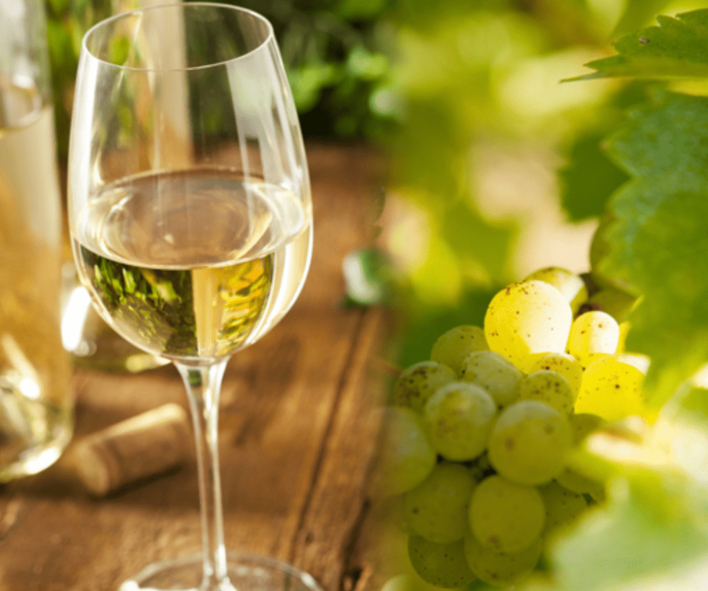 なぜワインには白ワインと赤ワインがあるの？～白ワイン編～  hobbee